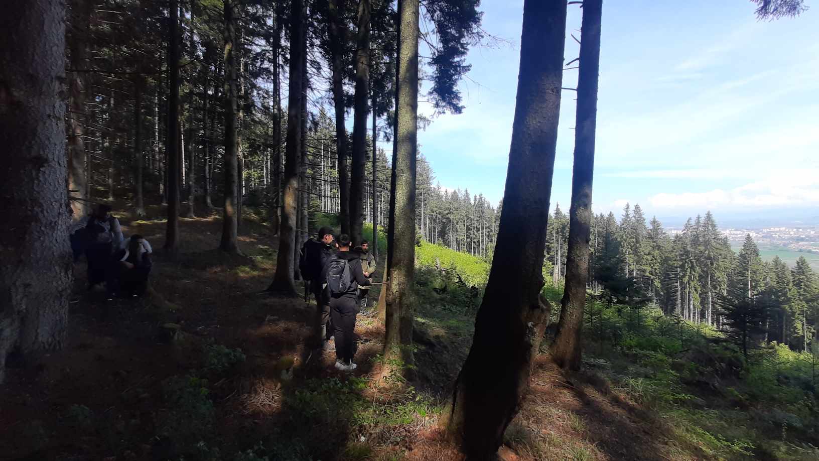 nature kép 1